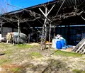 Снимка 5 — Парцел в Пловдив, с. Цалапица