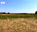 Снимка 5 — Парцел в Пловдив, с. Царацово
