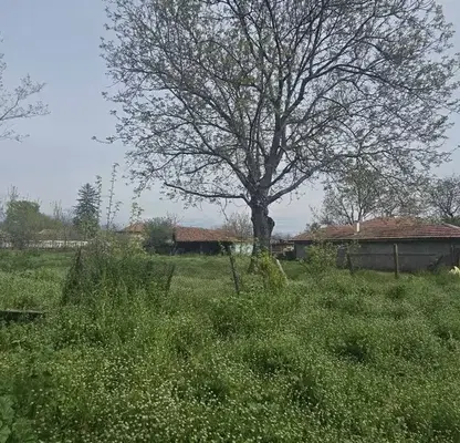 Photo 2 — Plot in Oblast Plovdiv, Ceretelevo