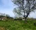 Снимка 3 — Парцел в Пловдив, с. Церетелево