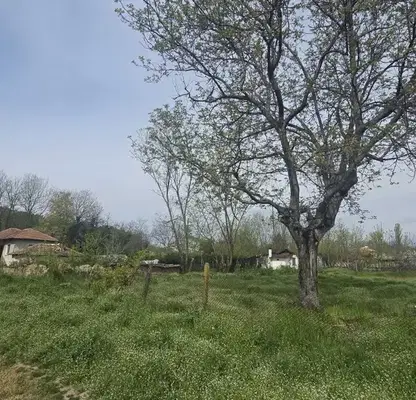 Photo 3 — Plot in Oblast Plovdiv, Ceretelevo