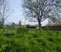 Снимка 4 — Парцел в Пловдив, с. Церетелево