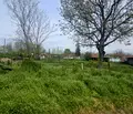 Снимка 5 — Парцел в Пловдив, с. Церетелево