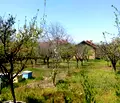 Снимка 2 — Парцел във Враца, с. Чирен