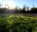 Снимка 3 — Парцел в Перник, с. Дебели лаг