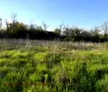 Снимка 4 — Парцел в Перник, с. Дебели лаг