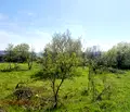 Снимка 4 — Парцел във Варна, с. Доброглед