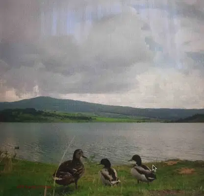 Photo 4 — Plot in Oblast Pernik, Dolna Dikanya