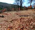 Снимка 2 — Парцел в София, с. Дръмша