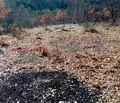 Снимка 5 — Парцел в София, с. Дръмша
