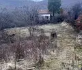 Снимка 3 — Парцел в София, с. Дръмша