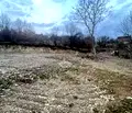 Снимка 4 — Парцел в София, с. Дръмша