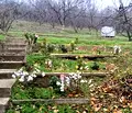 Снимка 5 — Парцел в Силистра, с. Дунавец