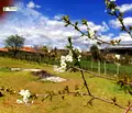 Снимка 3 — Парцел в Стара Загора, с. Дълбоки