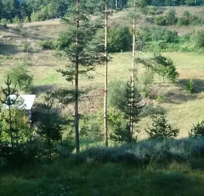 Photo 2 — Plot in Oblast Blagoevgrad, Eleshnica