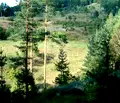 Снимка 3 — Парцел в Благоевград, с. Елешница