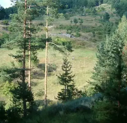 Photo 3 — Plot in Oblast Blagoevgrad, Eleshnica