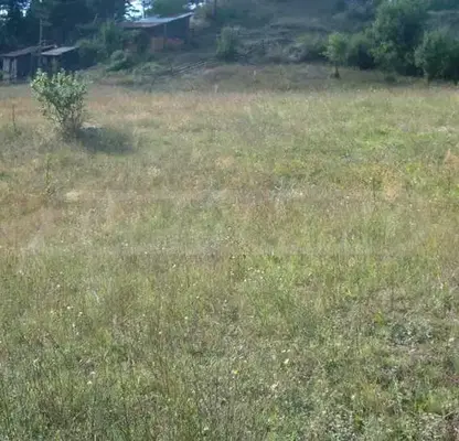 Photo 4 — Plot in Oblast Blagoevgrad, Eleshnica