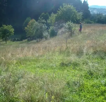 Photo 5 — Plot in Oblast Blagoevgrad, Eleshnica