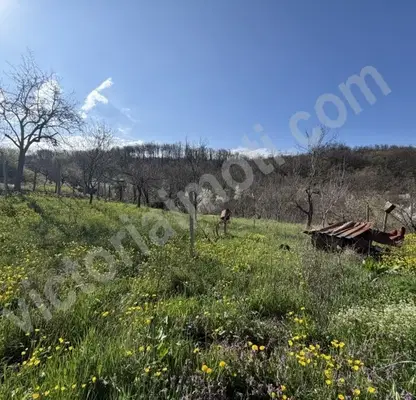 Photo 2 — Plot in Oblast Veliko Tyrnovo, Gabrovci