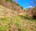 Снимка 4 — Парцел в Ловеч, с. Голям извор