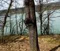 Снимка 5 — Парцел в Ловеч, с. Голяма Желязна