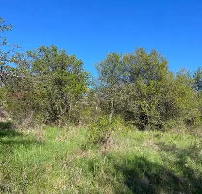 Photo 2 — Plot in Pernik, Gorna Dikanya