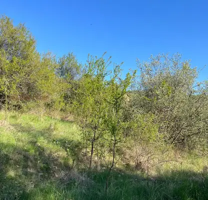 Photo 3 — Plot in Pernik, Gorna Dikanya