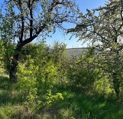 Photo 4 — Plot in Pernik, Gorna Dikanya