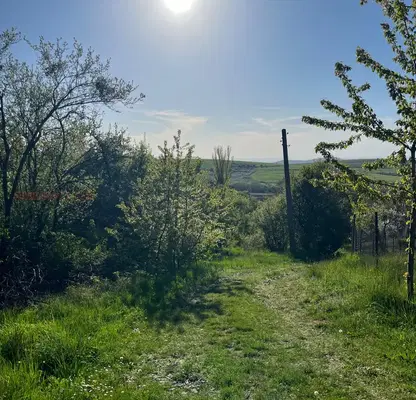 Photo 5 — Plot in Pernik, Gorna Dikanya