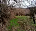 Снимка 5 — Парцел в Ловеч, с. Горно Павликене