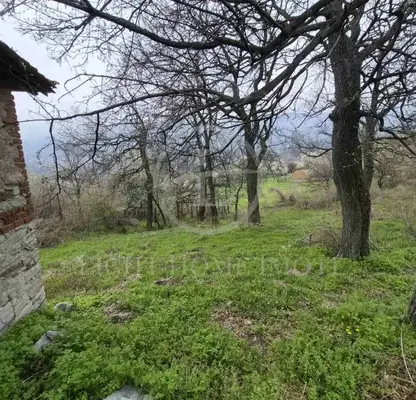 Снимка 4 — Парцел в Пловдив, с. Гълъбово