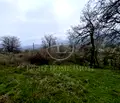 Снимка 5 — Парцел в Пловдив, с. Гълъбово