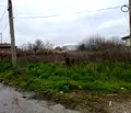 Снимка 3 — Парцел в Пазарджик, с. Хаджиево