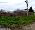 Снимка 4 — Парцел в Пазарджик, с. Хаджиево