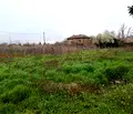 Снимка 5 — Парцел в Пазарджик, с. Хаджиево