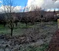 Снимка 4 — Парцел в Ловеч, с. Хлевене