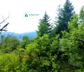 Снимка 2 — Парцел в Пловдив, с. Храбрино