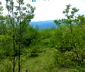 Снимка 4 — Парцел в Пловдив, с. Храбрино