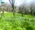 Снимка 3 — Парцел в Стара Загора, с. Хрищени