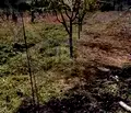 Снимка 4 — Парцел в Бургас, с. Каменар