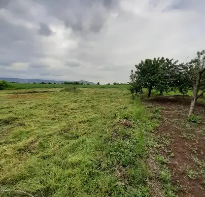 Photo 5 — Plot in Pazardjik, Kapitan Dimitrievo