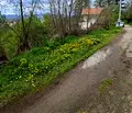 Снимка 5 — Парцел в Перник, с. Касилаг