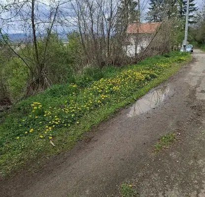 Снимка 5 — Парцел в Перник, с. Касилаг