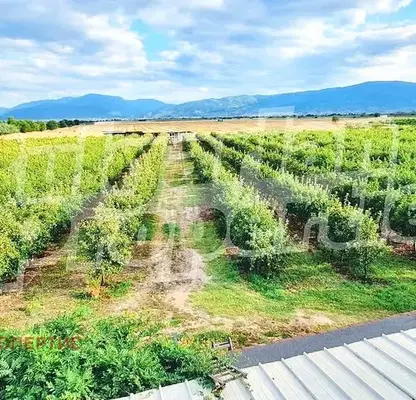 Photo 3 — Plot in Oblast Plovdiv, Katunica