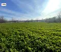 Снимка 4 — Парцел в Стара Загора, с. Княжевско