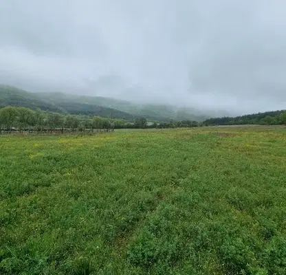 Photo 2 — Plot in Oblast Stara Zagora, Kolena