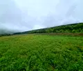 Снимка 4 — Парцел в Стара Загора, с. Колена