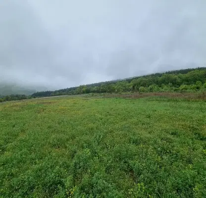 Photo 4 — Plot in Oblast Stara Zagora, Kolena