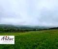 Снимка 5 — Парцел в Стара Загора, с. Колена